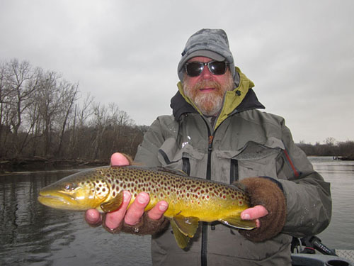 Brown_Trout_19
