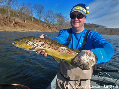 Brown_Trout_Streamer_January