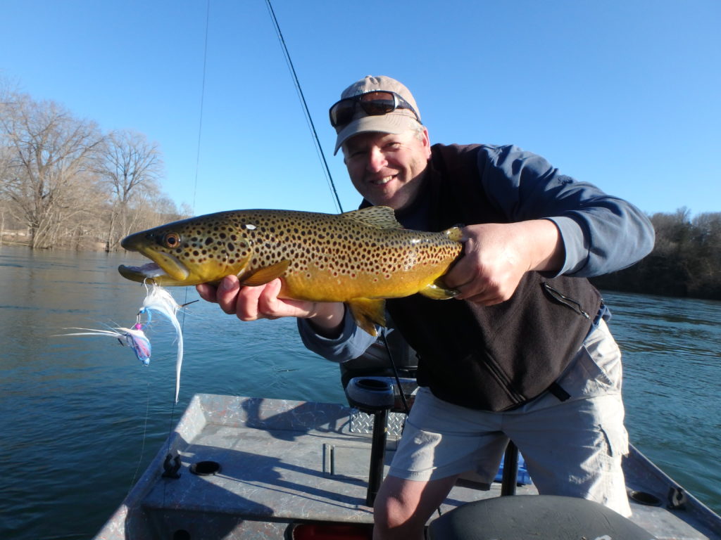 Arkansas River Trophy Brown Trout on a Streamer