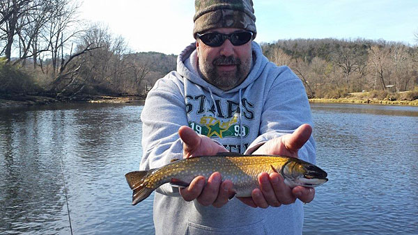 White_River_Brook_Trout