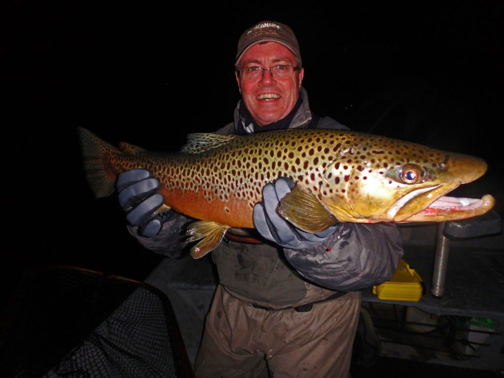 Big brown trout taken on a mouse