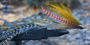 Double Articulated Helmet Streamer Rainbow